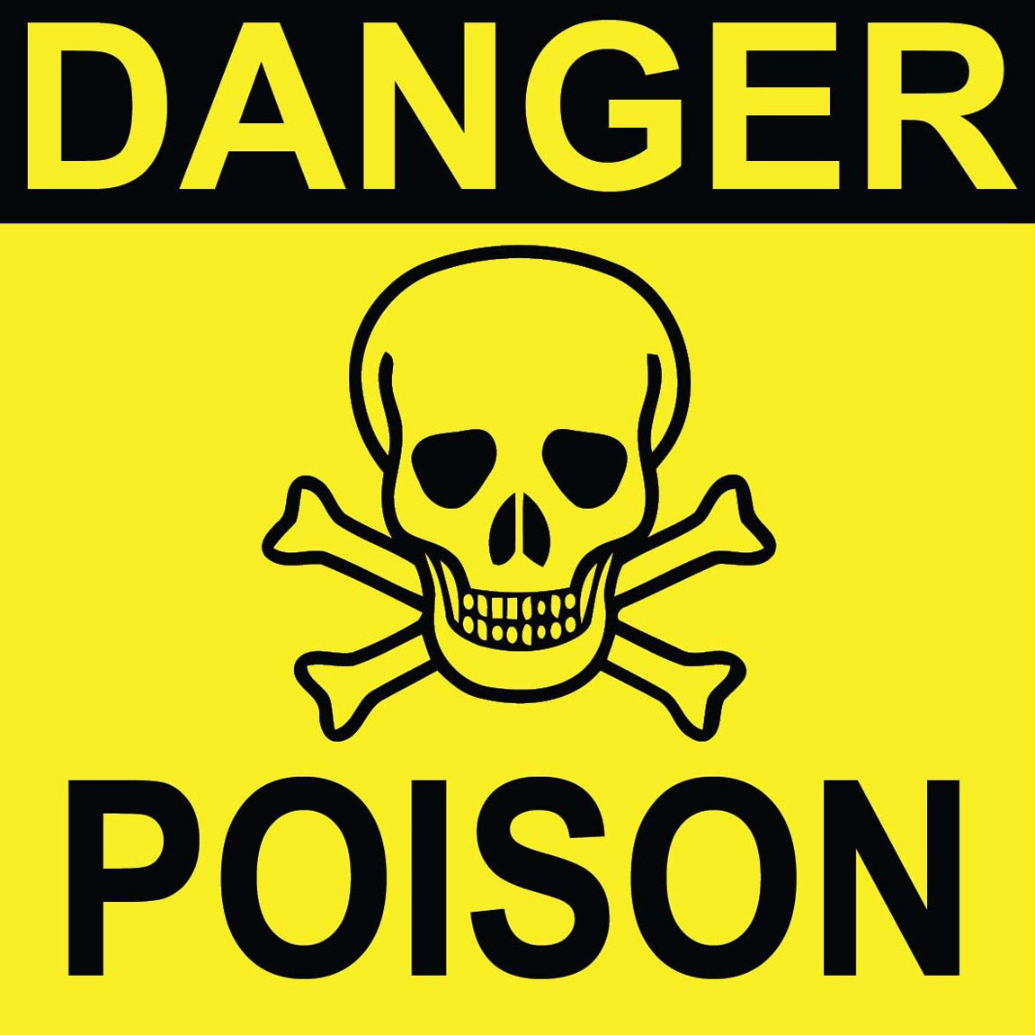 Nutrition Animal Care for Chickens SPCA Kids Education